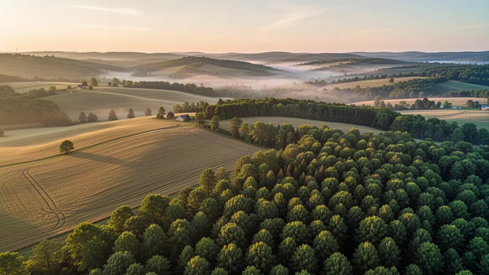 Off-Grid Zoning: Which Counties Actually Allow Off-Grid Living?