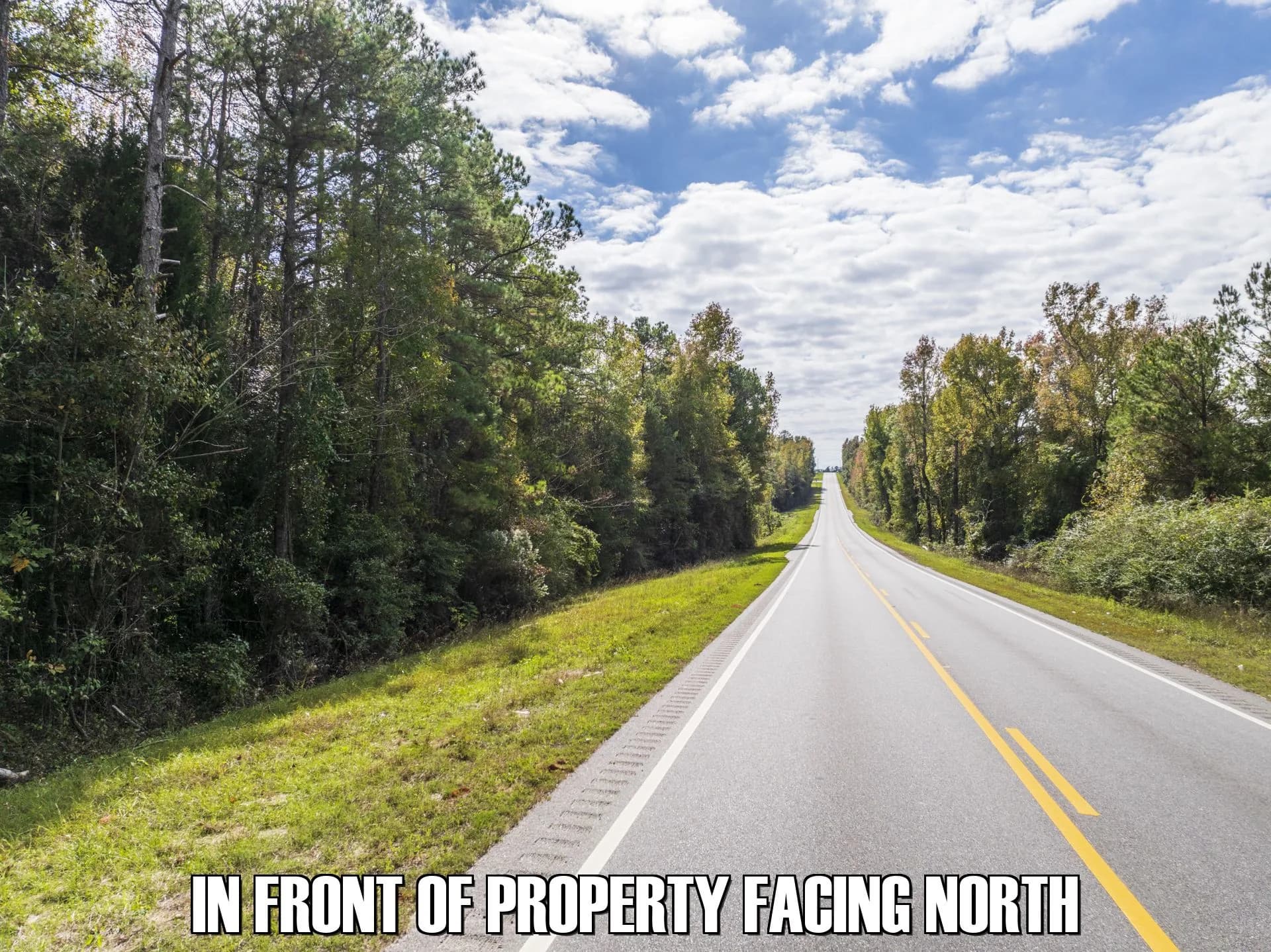 19 acres in Clayton, Alabama - photo 2