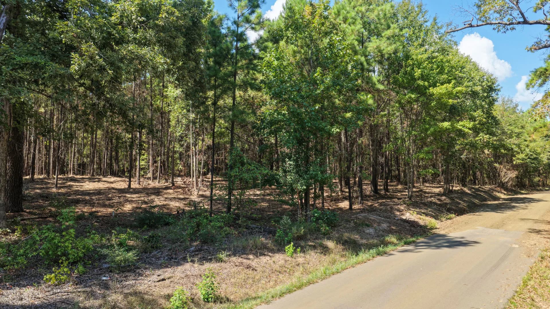 6 acres of vacant land for sale in Zwolle, Louisiana - aerial view of land parcel