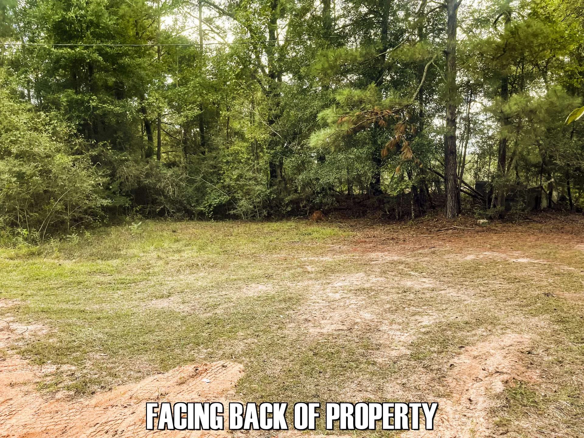 1 acres in Chipley, Florida - photo 3