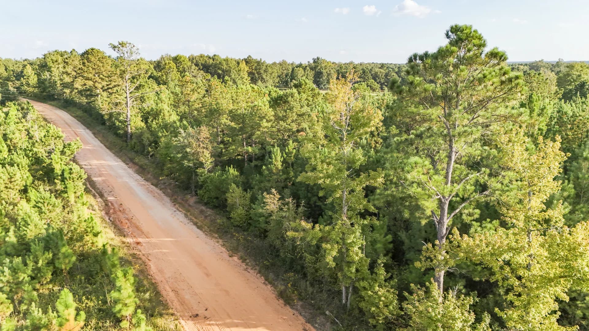 5 acres of vacant land for sale in Sardis, Georgia - aerial view of land parcel