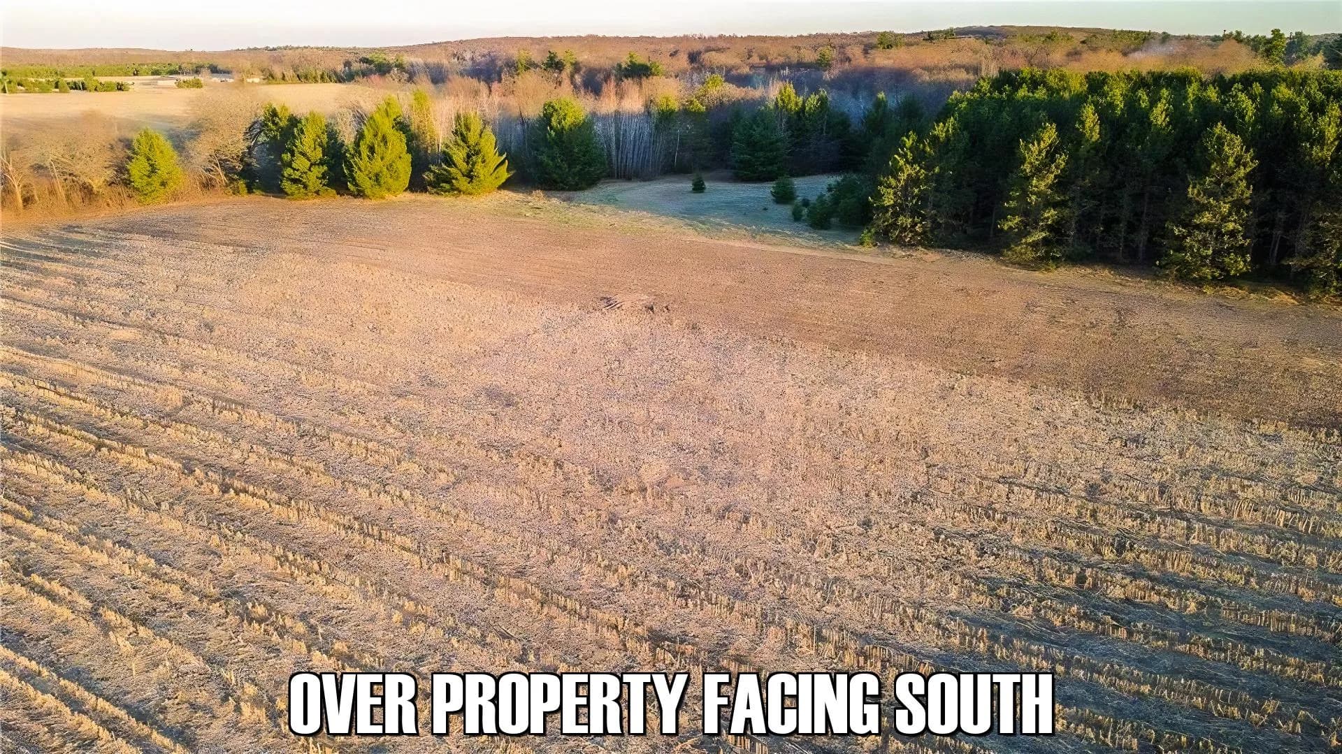 17 acres in Frederic, Wisconsin - photo 6