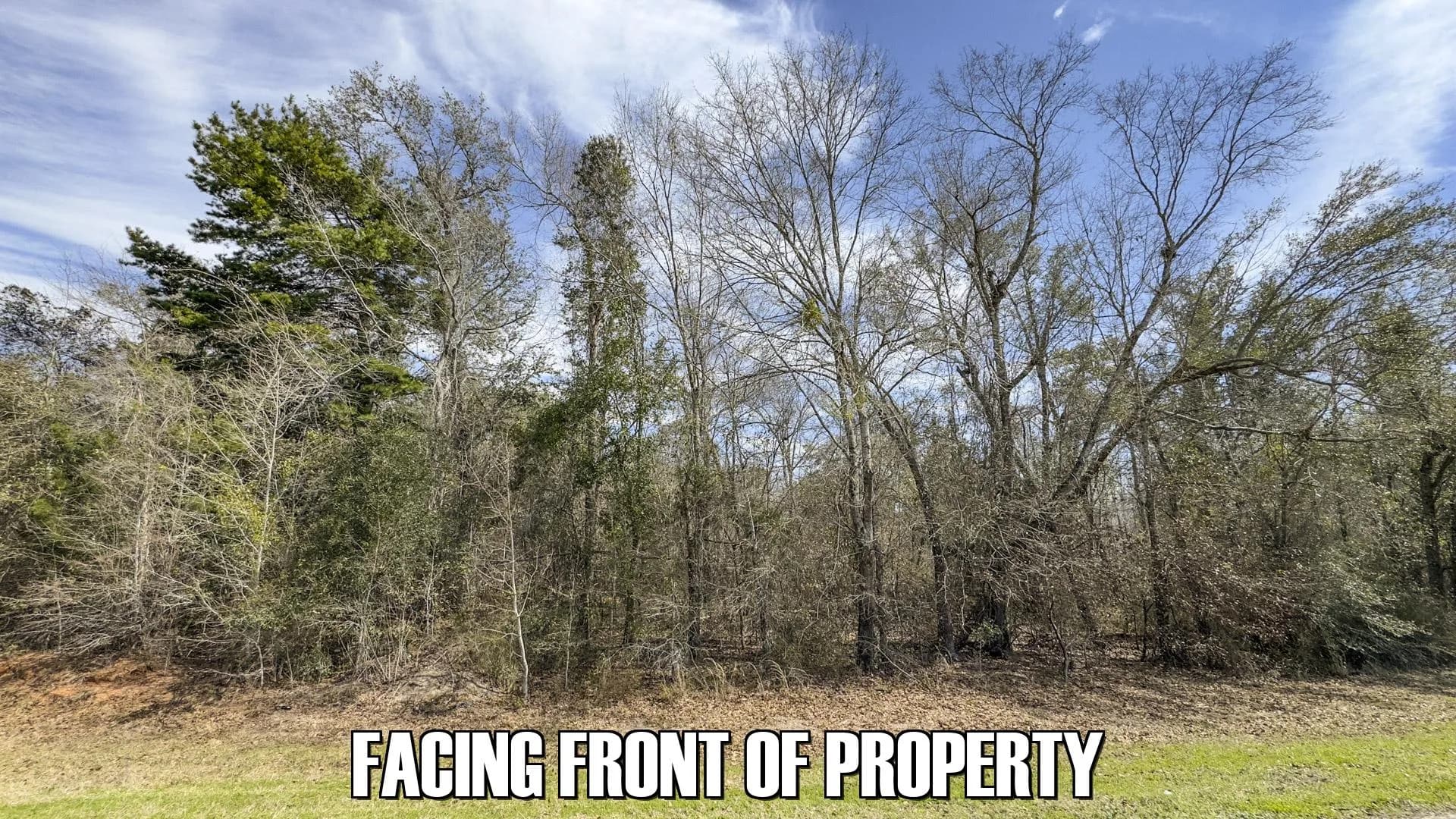 4.50 acres in Sneads, Florida - photo 4