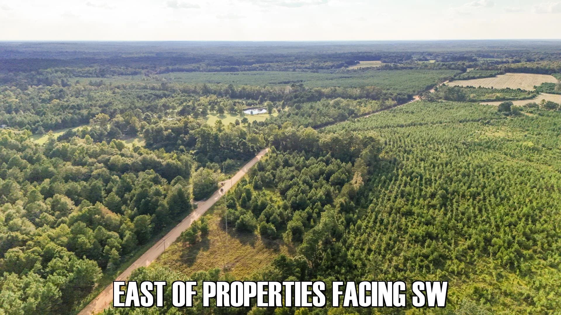 10 acres in Sardis, Georgia - photo 3