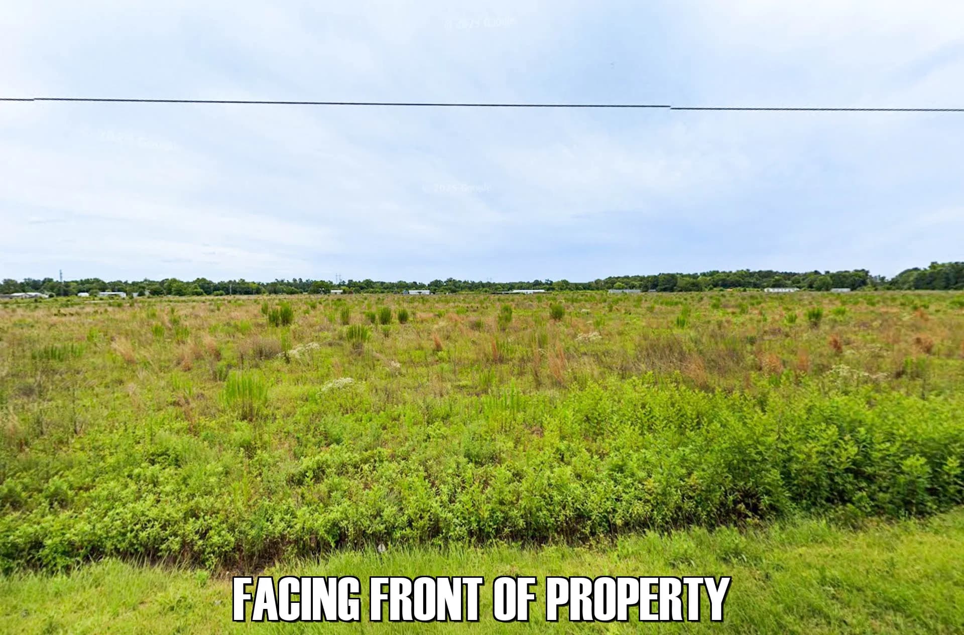 3 acres in Wallace, South Carolina - photo 3