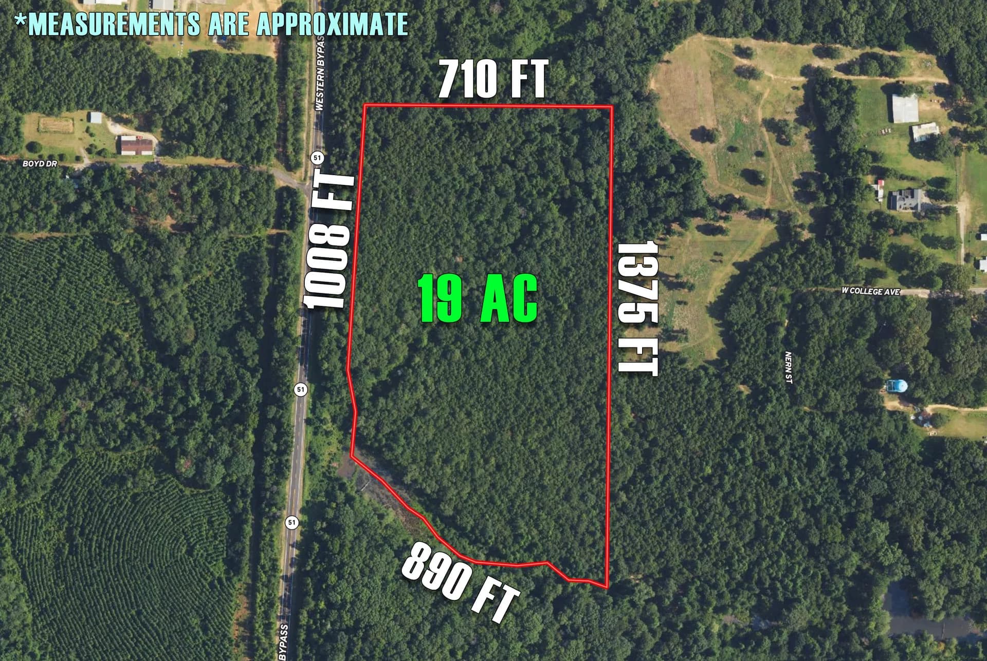 19 acres in Clayton, Alabama - photo 5