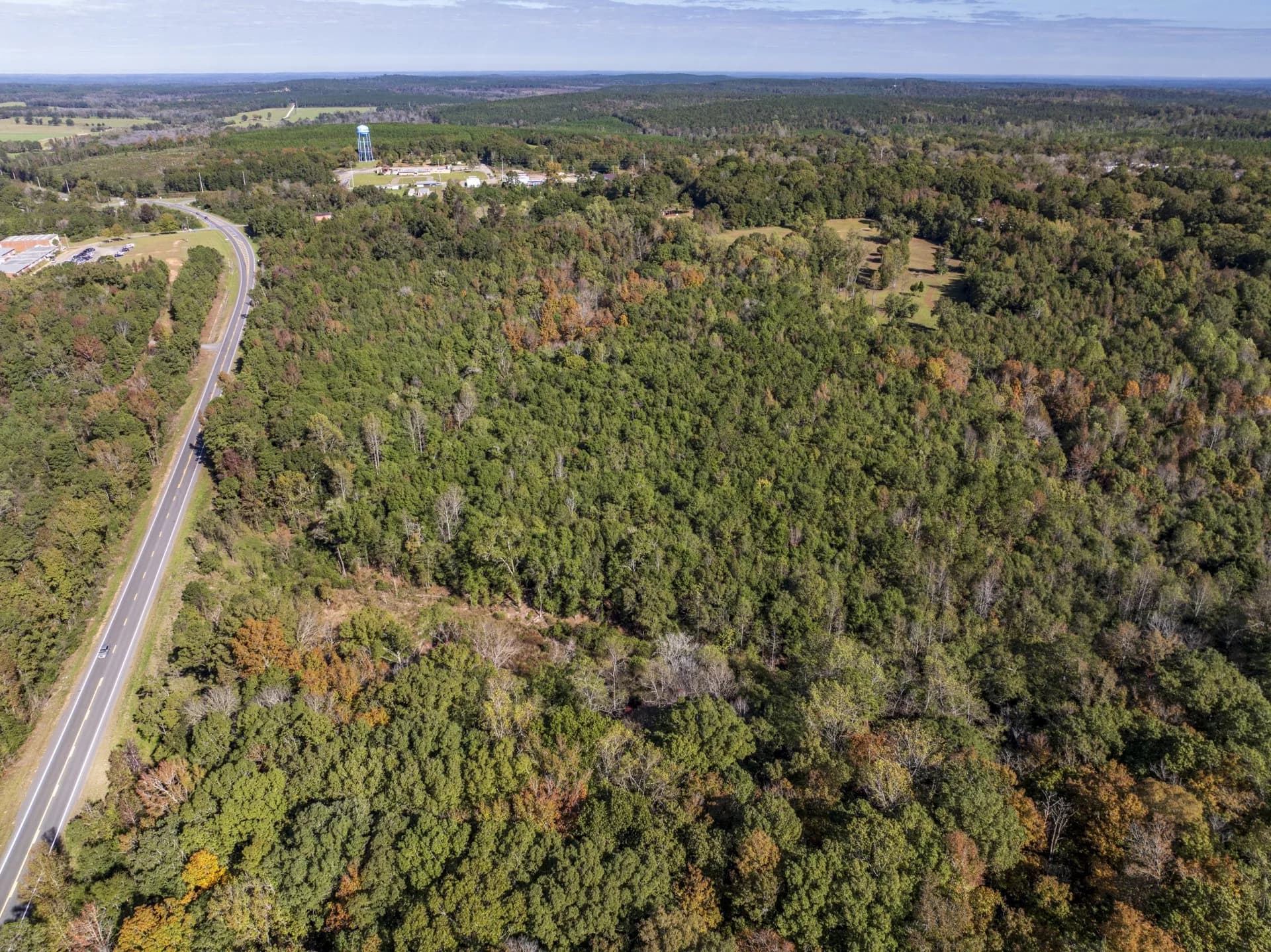 19 acres of vacant land for sale in Clayton, Alabama - aerial view of land parcel