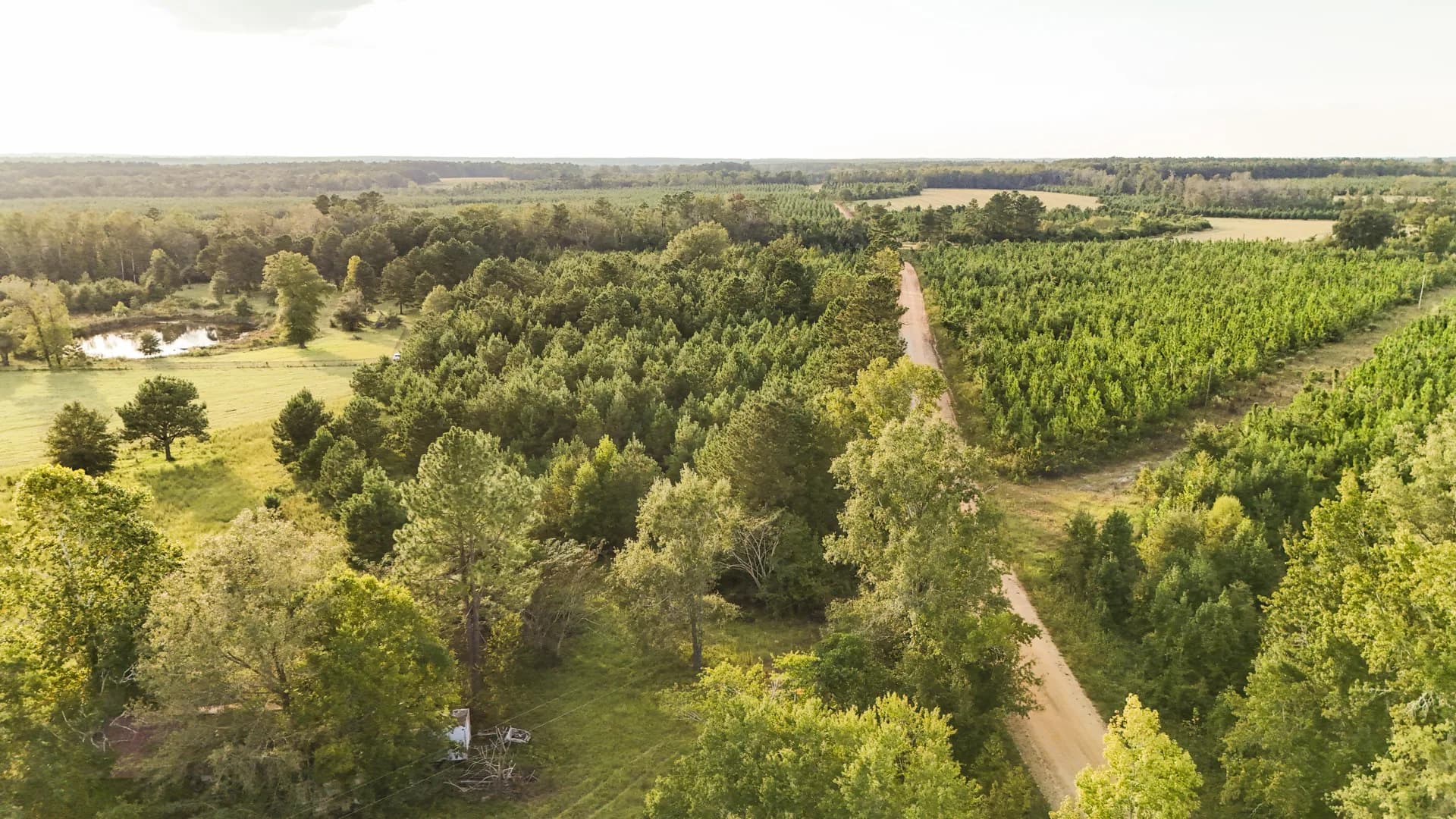 10 acres of vacant land for sale in Sardis, Georgia - aerial view of land parcel