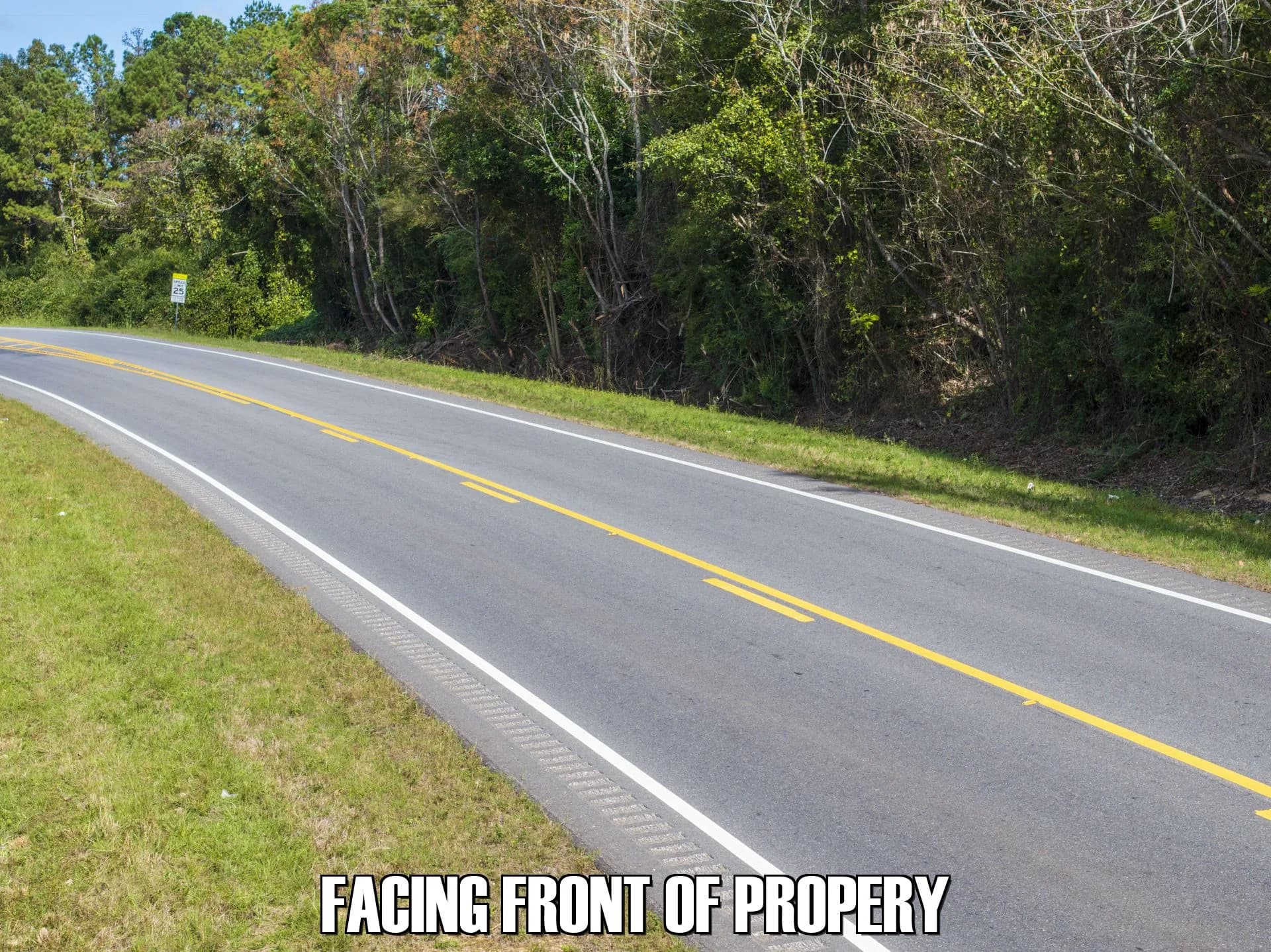 19 acres in Clayton, Alabama - photo 3