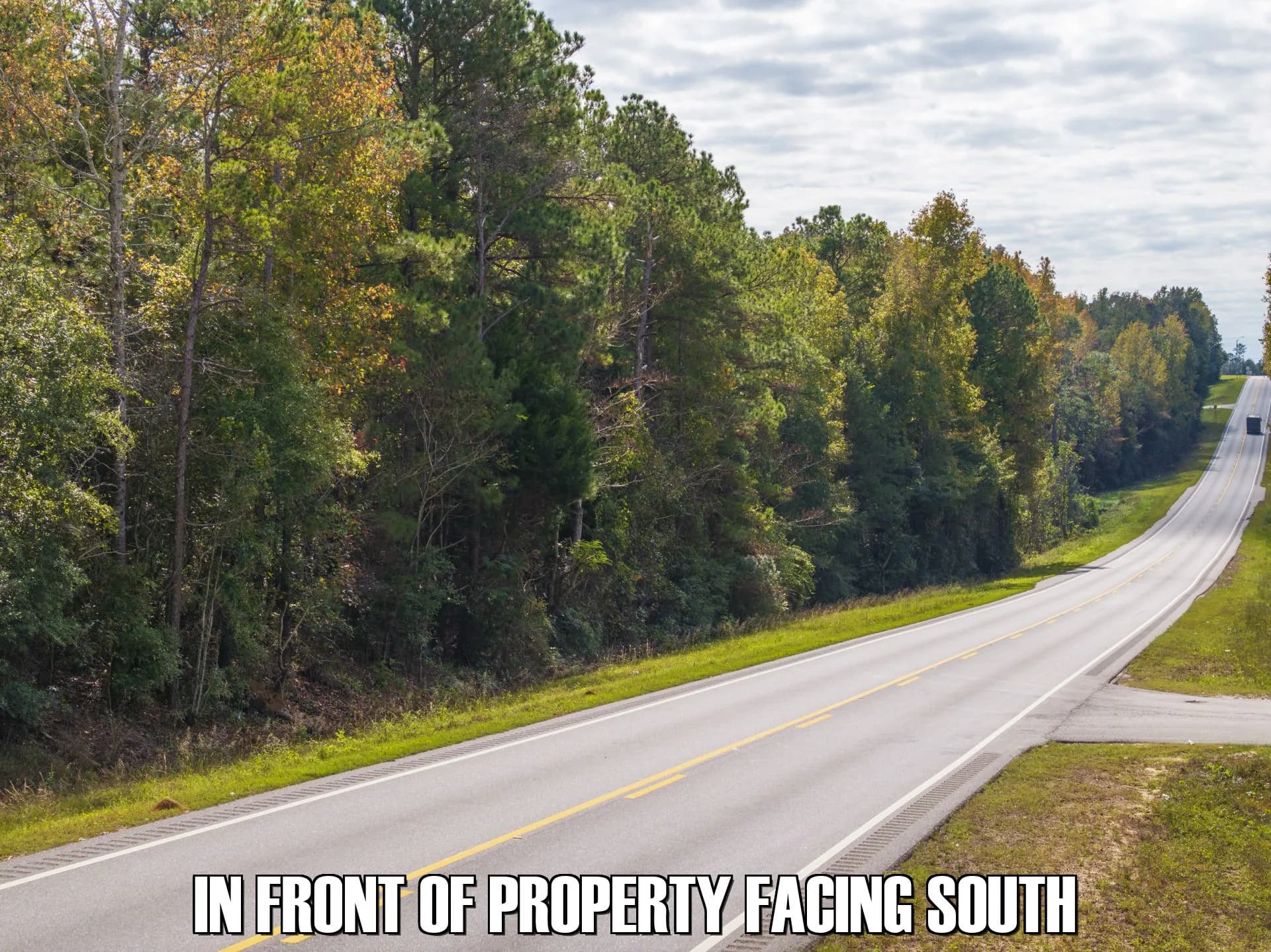 19 acres in Clayton, Alabama - photo 4