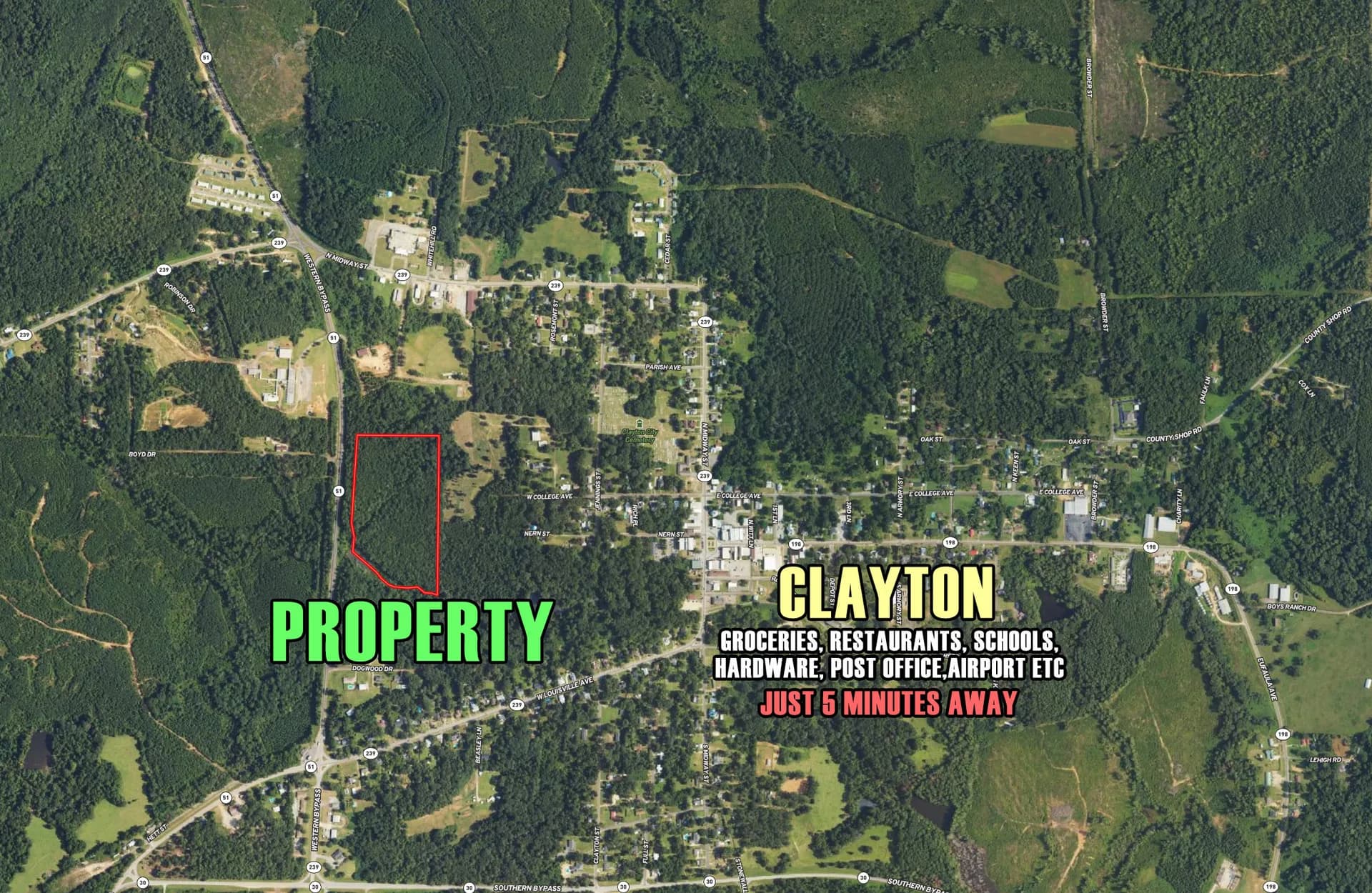 19 acres in Clayton, Alabama - photo 6